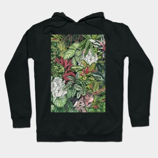 Urban Jungle Illustration 3 Hoodie